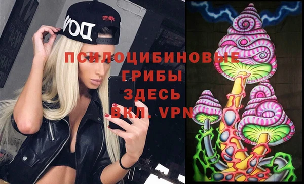 spice Бородино