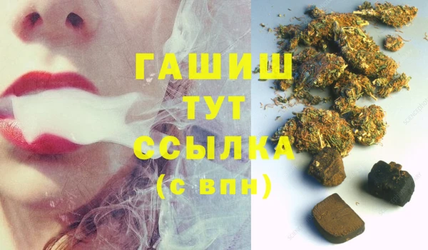spice Бородино