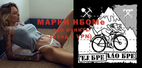 spice Бородино