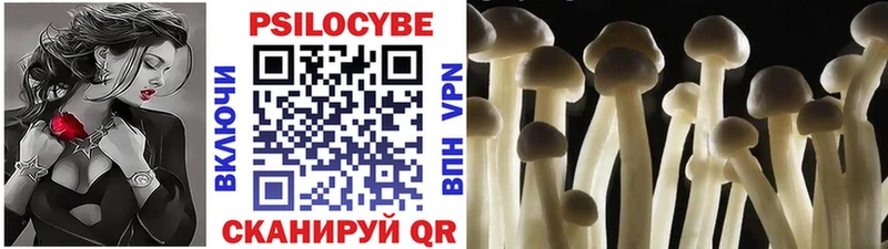 Галлюциногенные грибы Cubensis  Купить  Карачев 